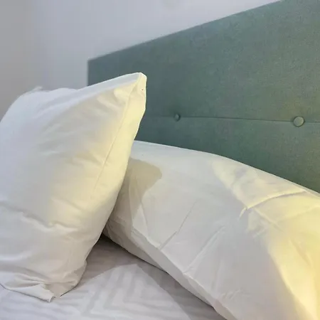 Luz De Camelias * Vigo