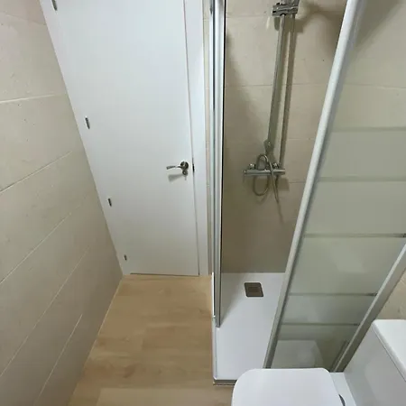 Luz De Camelias Vigo