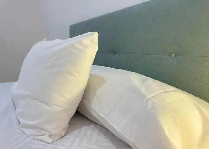 Luz De Camelias * Vigo